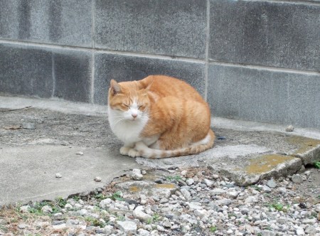 二人展「無意識の向こう側」垣内真希子×和田 健 4