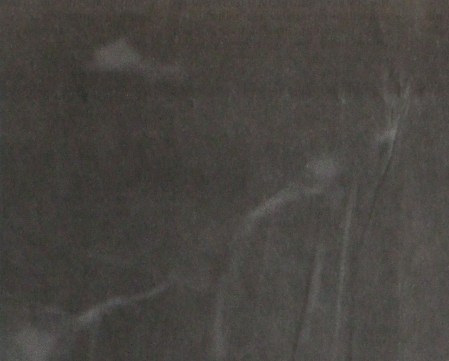 Photos from Newspaper No.1-2