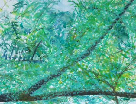 View from The Kuridaira Bridge No.1