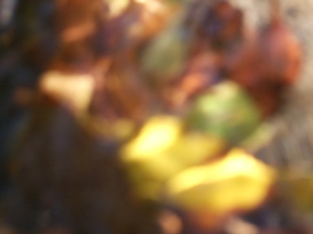 Surface of a stream No.1 -5