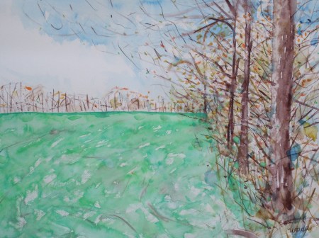 View of a pasture No.4