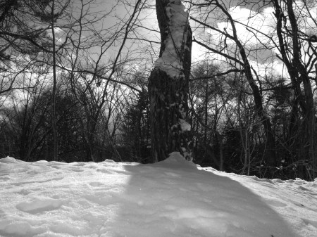 Landscape of Kitakaruizawa No.5