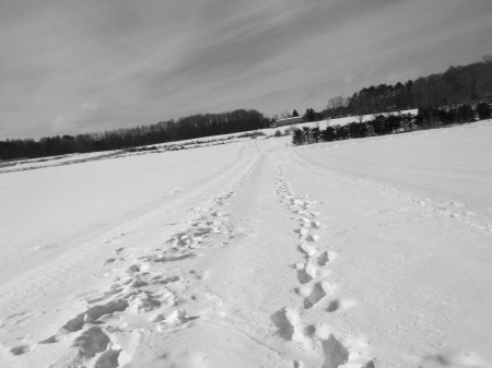Landscape of Kitakaruizawa No.14
