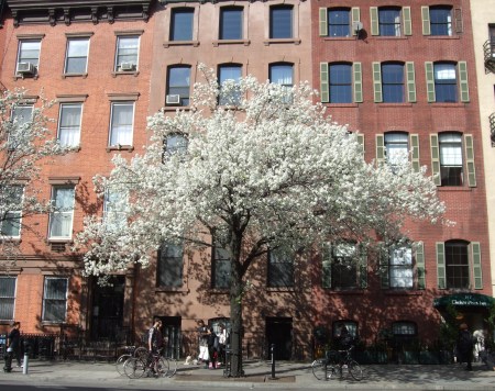 New York, April 2016