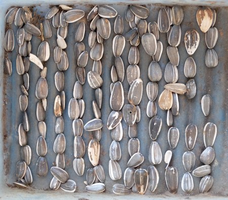 Sunflower Seeds