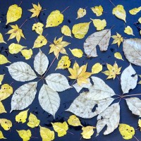 神の物語である「ヨゼフとその兄弟たち」の再読を終えて | La Galerie